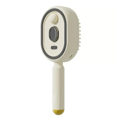 🩷Electric Spray Air Cushion Massage Comb