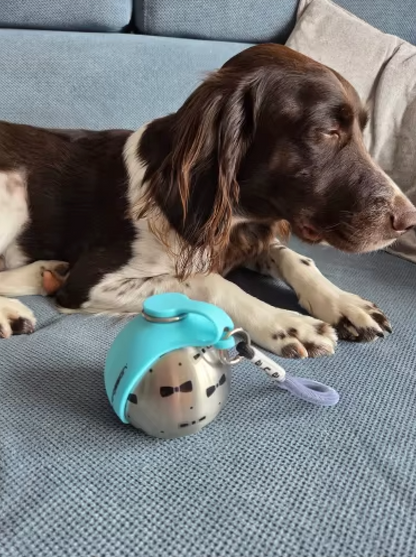 Portable Dog Water Bottle – Leak-Proof & Travel Ready